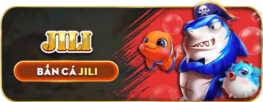Phần câu hỏi thường gặp về 197vip